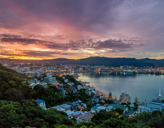 The view of Wellington city from Mount Victoria at sunset.