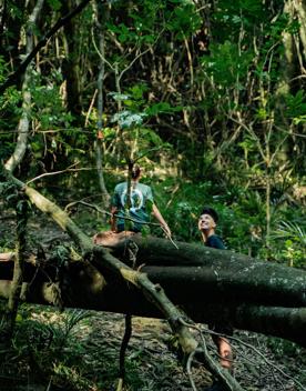 Two people hiking in a lush green forest.