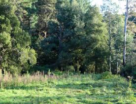 Mangaroa Valley Road screen location, a scenic rural setting with native forest, farmland, and a mountainous backdrop.