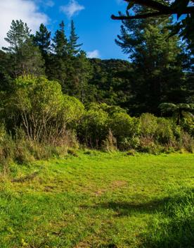 Camp Wainuiomata screen location. Has several buildings and is surrounded by forest and bush.