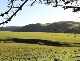 A rural setting with panoramic seascapes, Pikarere Farm is an iconic sheep and beef station overlooking Titahi Bay in Porirua, New Zealand.