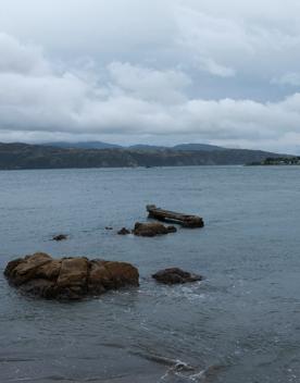 Worser Bay is a scenic inner-harbour beach popular with swimmers, dog walkers, and bridal couples. The large, sandy beach on the eastern side of Miramar Peninsula offers views of the Ororongorongo Range across the harbour, Steeple Rock, and Seatoun Beach.