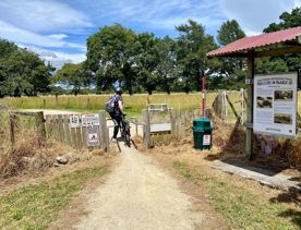 Entry to the Greytown to Woodside trail.