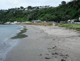 Worser Bay is a scenic inner-harbour beach popular with swimmers, dog walkers, and bridal couples. The large, sandy beach on the eastern side of Miramar Peninsula offers views of the Ororongorongo Range across the harbour, Steeple Rock, and Seatoun Beach.