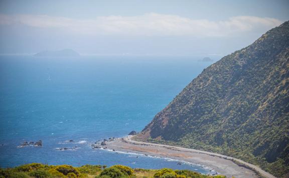 The Pencarrow Coast in Eastbourne, Lower Hutt in the Wellington region. The bay is big and blue and there is a  road along the coastline at the foot of a steep green hill.  