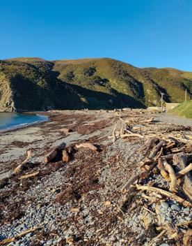 A quaint seaside village at the base of dramatic cliffs, Mākara is just 30 minutes from Wellington’s city centre. On its rugged western coast is a seaside village and a gently sloping, stony beach.