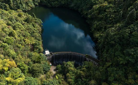 Bird's-eye view of Birchville Dam showing the blue waters of the dam surrounded by native ferns and bush.