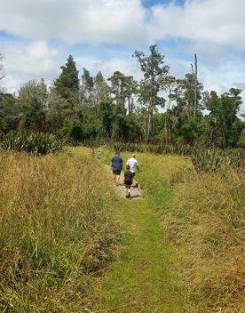 Three people walking away from camera on a gravel path amongst grasses and flaxes, with trees in the background 