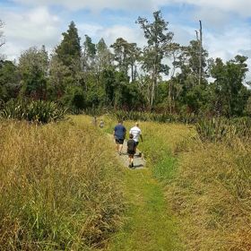 Three people walking away from camera on a gravel path amongst grasses and flaxes, with trees in the background