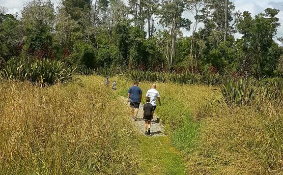 Three people walking away from camera on a gravel path amongst grasses and flaxes, with trees in the background