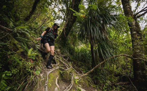 A hiker in native New Zealand bush wearing outdoor gear including gaiters, walking down a steep section of unneven terrain.
