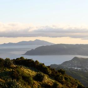 A scenic view of Porirua Harbour from  Colonial Knob Walkway on Rangituhi/Colonial Knob on a misty dawn. 