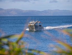 The Beach Landing to Sheltertrack on Kapiti Island. The boat from Kāpiti Coast arrives onto the rocky shore.
