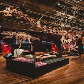 The Dinosaurs of Patagonia Exhibition in Te Papa Museum of New Zealand in Wellington showcasing the cast of one of the world’s biggest dinosaurs, the Patagotitan mayorum.