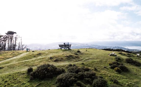 Three people standing on an elevated wooden platform at the summit of Mount Kaukau on the Skyline Walkway in Wellington, New Zealand.