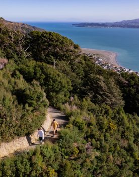 A drone shot of two people walking up the Bus Barn Track in East Harbour Regional Park. Behind them, the Wellington Harbour fills the background with blue.
