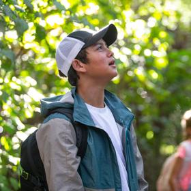 A person in a jacket and baseball cap looks up at the tree canopy while hiking through the forest.