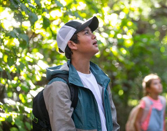 A person in a jacket and baseball cap looks up at the tree canopy while hiking through the forest.