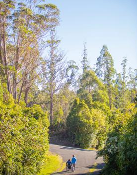 Two people, one walking and one using a wheelchair, on a paved track surrounded by trees.