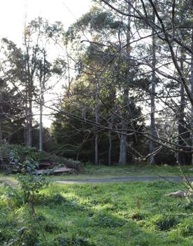 Mangaroa Valley Road screen location, a scenic rural setting with native forest, farmland, and a mountainous backdrop.