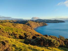 The screen location of West Wind Farm and Mākara Bunker at sunset, with 360 views of Wellington and the wind farm, as well as the historic fort Opau.