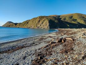 A quaint seaside village at the base of dramatic cliffs, Mākara is just 30 minutes from Wellington’s city centre. On its rugged western coast is a seaside village and a gently sloping, stony beach.