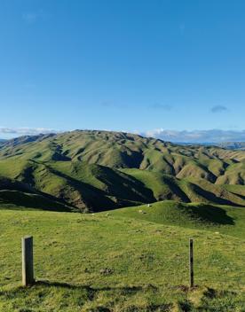 A short drive from the city is a stunning venue. Perched on a rugged coastline, it has sweeping views over the Cook Strait and the South Island.