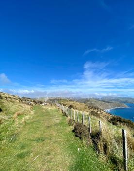 Looking south from the top of the Mākara Walkway, the path is grass and a wire fence with wooden posts runs the length. Windmills can be seen in the distance.