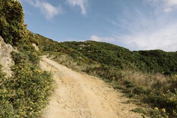 An uphill gravel walking path at Te Kopahou Reserve.