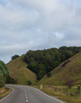 The screen location of Waitohu Valley Ōtaki, features native and exotic forests, pastoral lands, and wetlands.