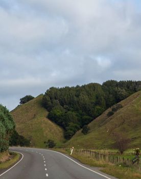The screen location of Waitohu Valley Ōtaki, features native and exotic forests, pastoral lands, and wetlands.