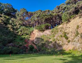 The former Mount Victoria Quarry site sits at the base of Wellington’s Town Belt.  The Anne Frank memorial of three chairs is placed on the grass in front of the cliff face.