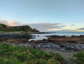 An expansive, coastal area of park and wilderness just north of the capital. With 180 hectares of open space and pockets of native bush, Whitireia Park is where people in Porirua come to roam on foot, bike, or hoof.