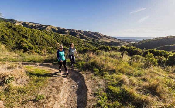 Two people walking on a dirt track, surounded by rolling hills on a sunny day.