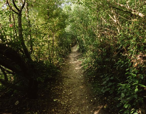 A mountain biking track in Centennial Reserve.