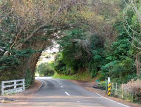 Ohariu Valley Road in Wellington travels through a slice of quintessential Kiwi countryside.