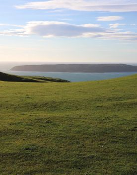 A rural setting with panoramic seascapes, Pikarere Farm is an iconic sheep and beef station overlooking Tītahi Bay in Porirua, New Zealand.