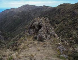 Long Gully Bush Reserve comprises 107 hectares of regenerating forest. It sits roughly 5 kilometres southwest of Wellington City, surrounded by the suburbs of Karori and Brooklyn.