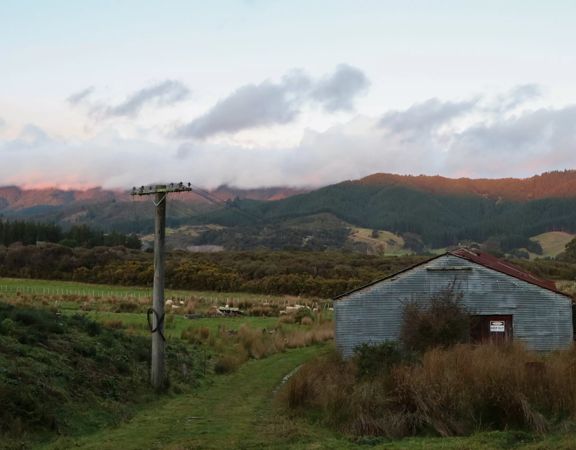 Corrugated iron sheds sit among the grassland of Wallaceville Farmland.