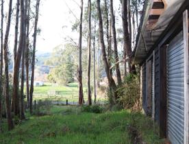 Mangaroa Valley Road screen location, a scenic rural setting with native forest, farmland, and a mountainous backdrop.