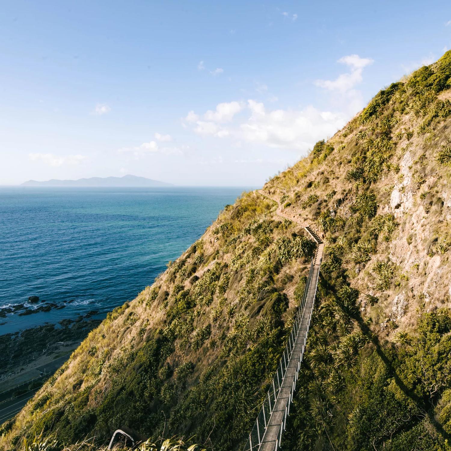 The famous swing bridge on The Escarpment Track, is a hiking trail that runs from Paekākāriki to Pukerua Bay, taking in sweeping views of the spectacular Kāpiti Coastline and Kapiti Island.