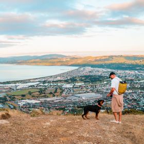 A person in a white teeshirt and a black and brown dog are standing on a hillside overlooking a coastal town, the harbour and a distant mountain range.