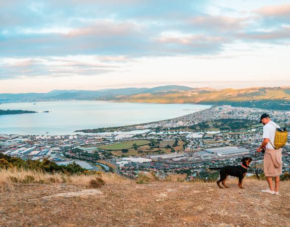 A person in a white teeshirt and a black and brown dog are standing on a hillside overlooking a coastal town, the harbour and a distant mountain range.