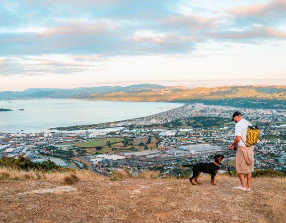 A person in a white teeshirt and a black and brown dog are standing on a hillside overlooking a coastal town, the harbour and a distant mountain range.