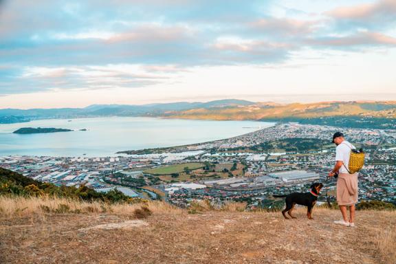 A person in a white teeshirt and a black and brown dog are standing on a hillside overlooking a coastal town, the harbour and a distant mountain range.
