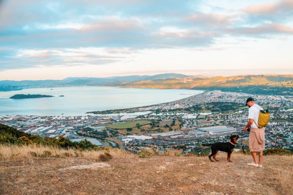A person in a white teeshirt and a black and brown dog are standing on a hillside overlooking a coastal town, the harbour and a distant mountain range.
