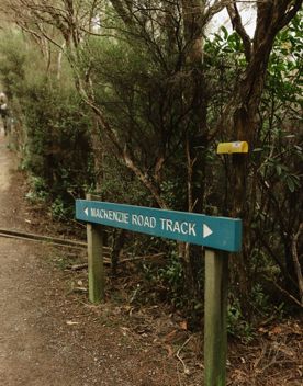 The MacKenzie Road Track in East Harbour Regional Park zigzags through regenerating bush with views of the harbour.