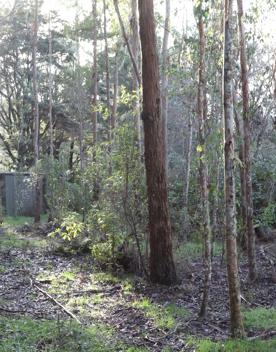 Mangaroa Valley Road screen location, a scenic rural setting with native forest, farmland, and a mountainous backdrop.