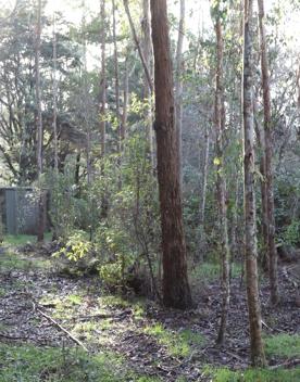 Mangaroa Valley Road screen location, a scenic rural setting with native forest, farmland, and a mountainous backdrop.