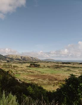 The view from the top of Mataihuka Walkway on Kāpiti Coast overlooking Raumati, Queen Elizabeth Park, and Kapiti Island.